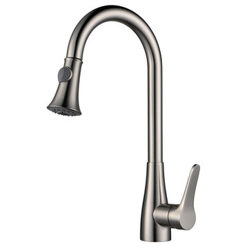 Faro Kitchen Sink Faucet With Pullout Sprayer