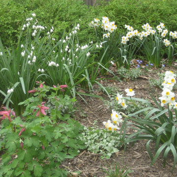 Spring Gardens $