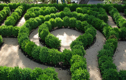 12 Ways to Use Evergreen Boxwoods in Your Landscape