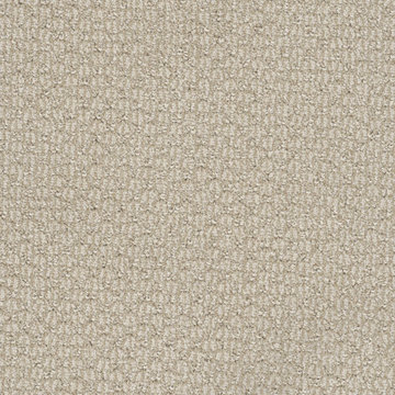 Dream Weaver Enduring Residential Carpet