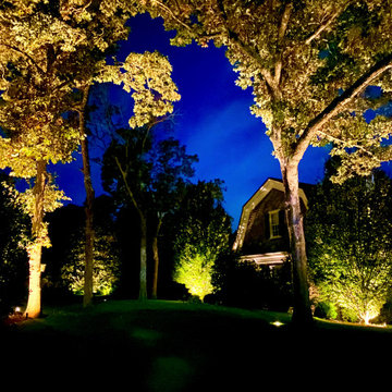 Landscape Lighting