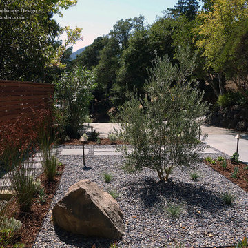 Contemporary Landscape and Exterior Remodel in Kentfield, CA