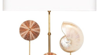 design lamp sea urchin and nautile