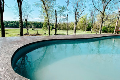 Inspiration for a pool remodel in Louisville