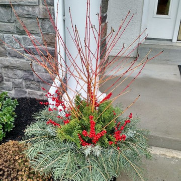 Winter Planters