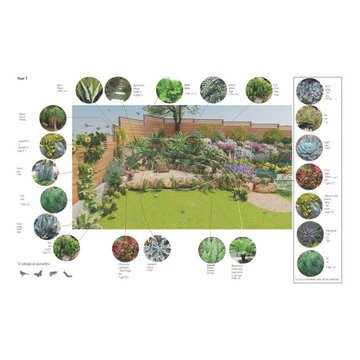 Buddha Area Design