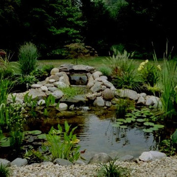 Ponds and Streams