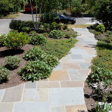 Dimensional Blue Stone (sandstone) Walkway