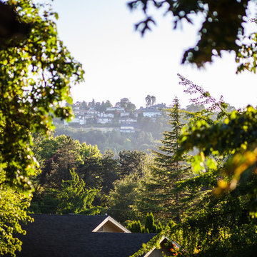Camellia Dr Salem
