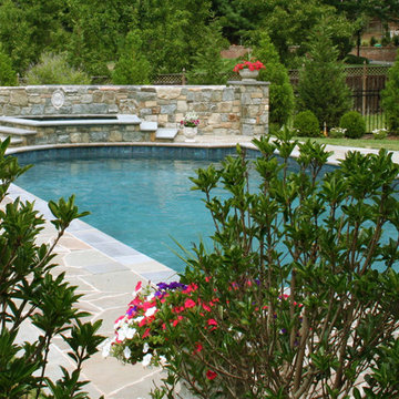 Swimming Pool and Spa