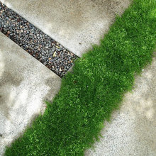 KB yard idea