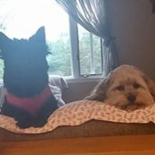 Lorraine Masters's photo
