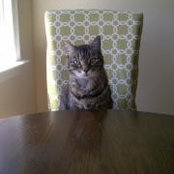 Susan Moon's photo