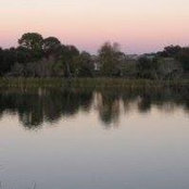 Merle Kenyon's photo