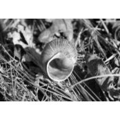 Resman Silva's photo