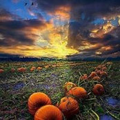 Melissa Morris-Moore's photo