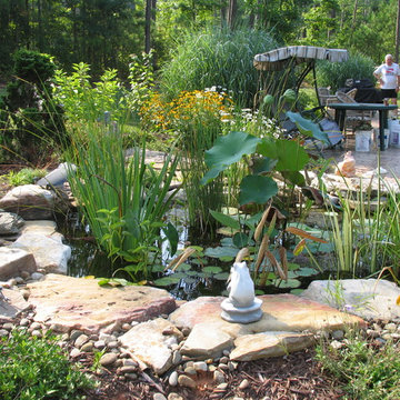 Wake Forest, NC koi pond and landscape rennovation