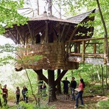 Treehouses