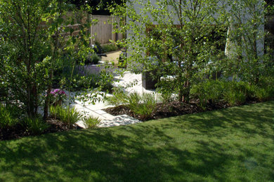 Medium sized contemporary garden in Other.