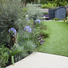 Swartzlander landscape Ideas