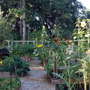 Madrona Way