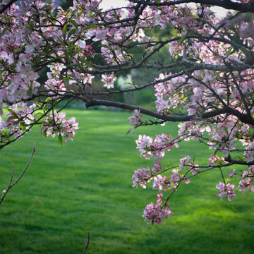 Walled Garden