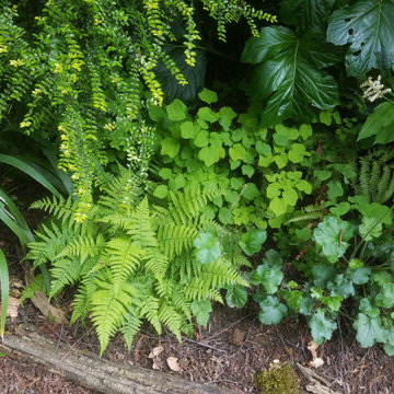 Ecological Planting Detail