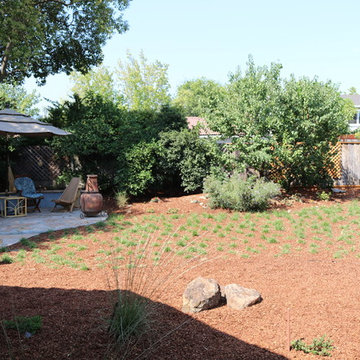 California Native Backyard Renovation