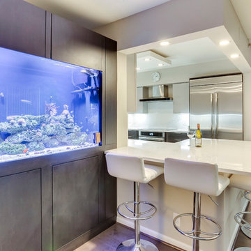 Contemporary Kitchen & Aquarium Design Falls Church, VA