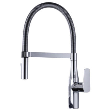Dowell 8002/016 Series Single Handle Kitchen Faucet/Sprayer Chrome