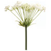 Queen Anne's Lace Stem, Set of 2