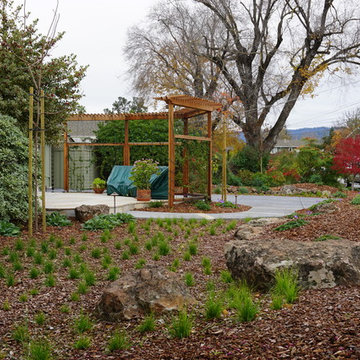 Los Gatos Front Yard Lounge
