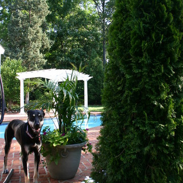 Swimming Pool with Brick Pavers