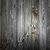 Paco Rodríguez's photo