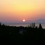 Suzanne Hobson's photo