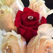 Carla Tryber's photo