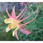 Connie Baker's photo