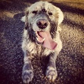 Casper Junge's photo