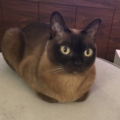 Cathy Knowlton's photo