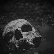 Brian Frechette's photo