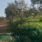 Spyros Plastiras's photo