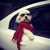 Darren Piper's photo