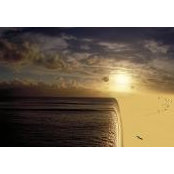 Sanjay Pamnani's photo