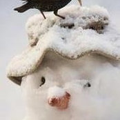 Foto di Dee Stebelton