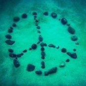 Tracy Black's photo