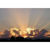 Nicole Lesperance's photo