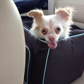 Deborah Hahn's photo