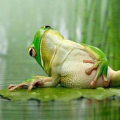 Foto von Laurence Thabut