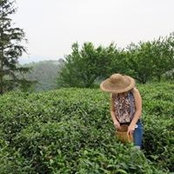 Roxana Grisaffi's photo