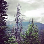 Heather May's photo